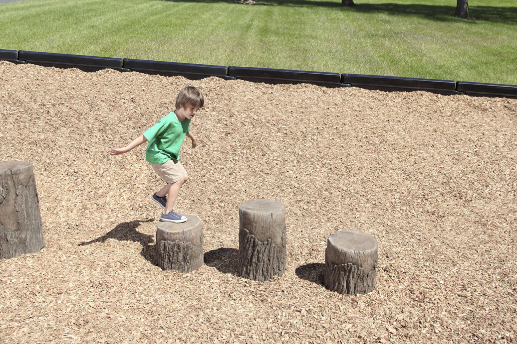 tree stumps - balance - natural