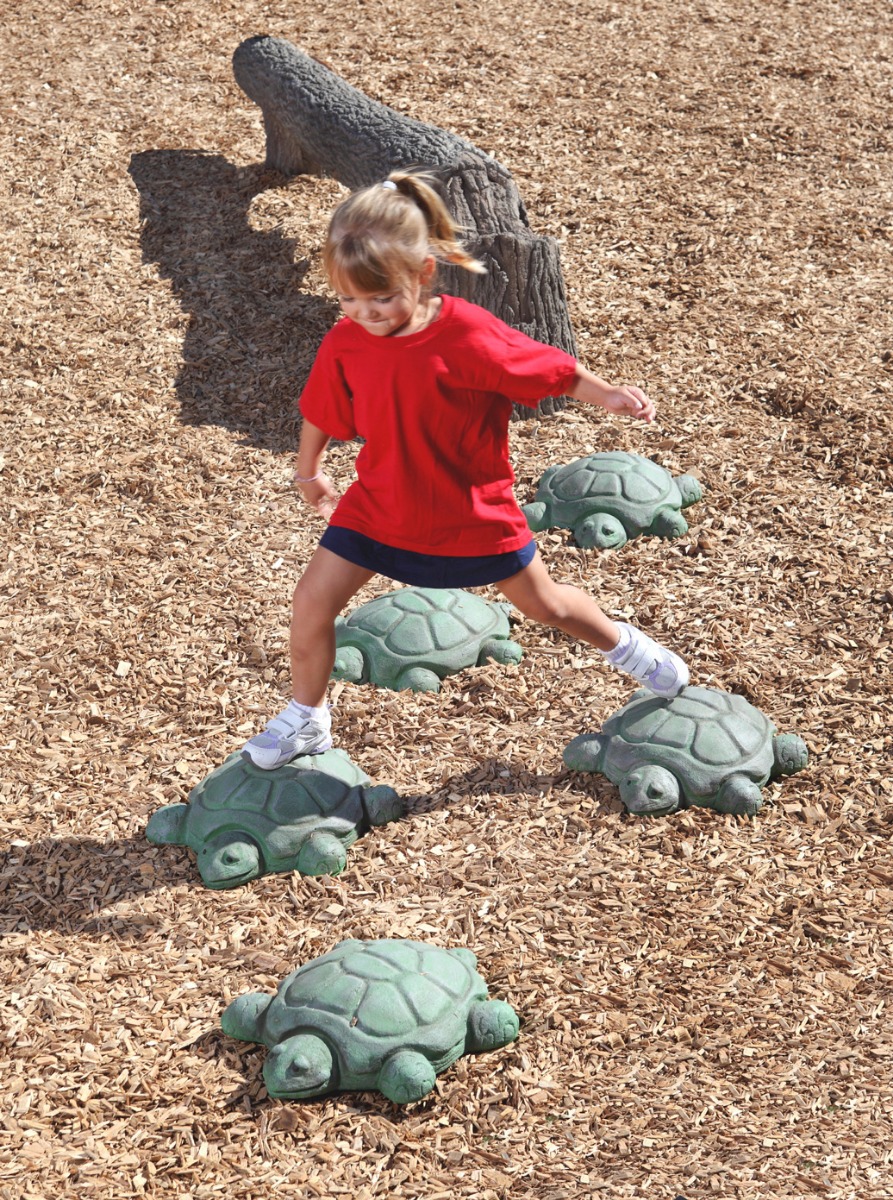 Stepping Turtles - commercial playground equipment - lifestyle