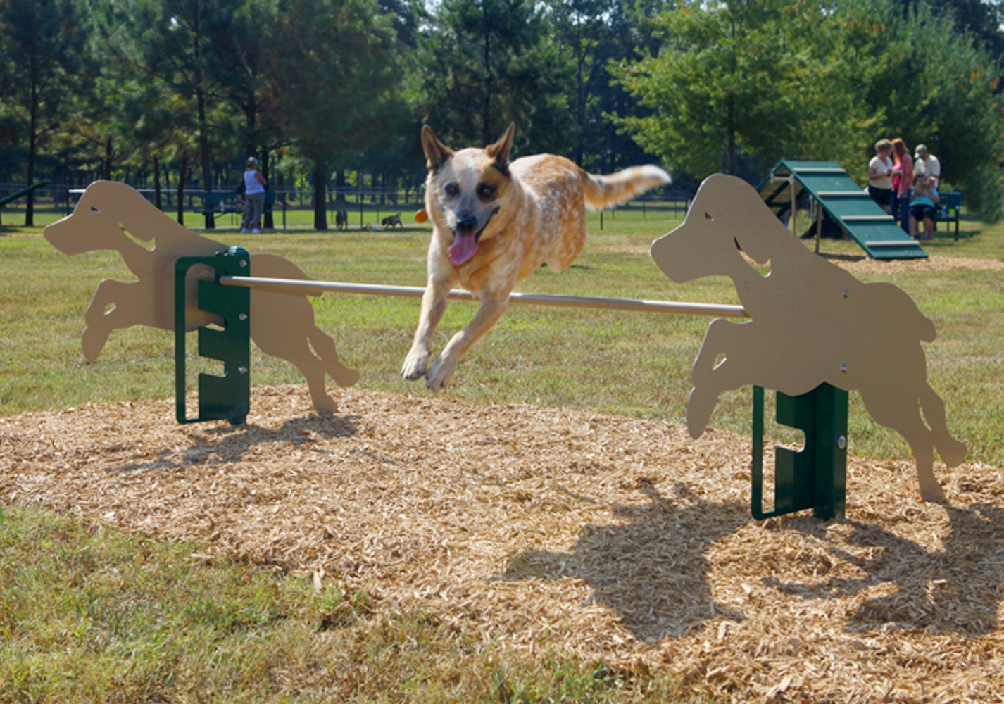 Rover Jump Over - Dog Park Equipment - All People Can Play,