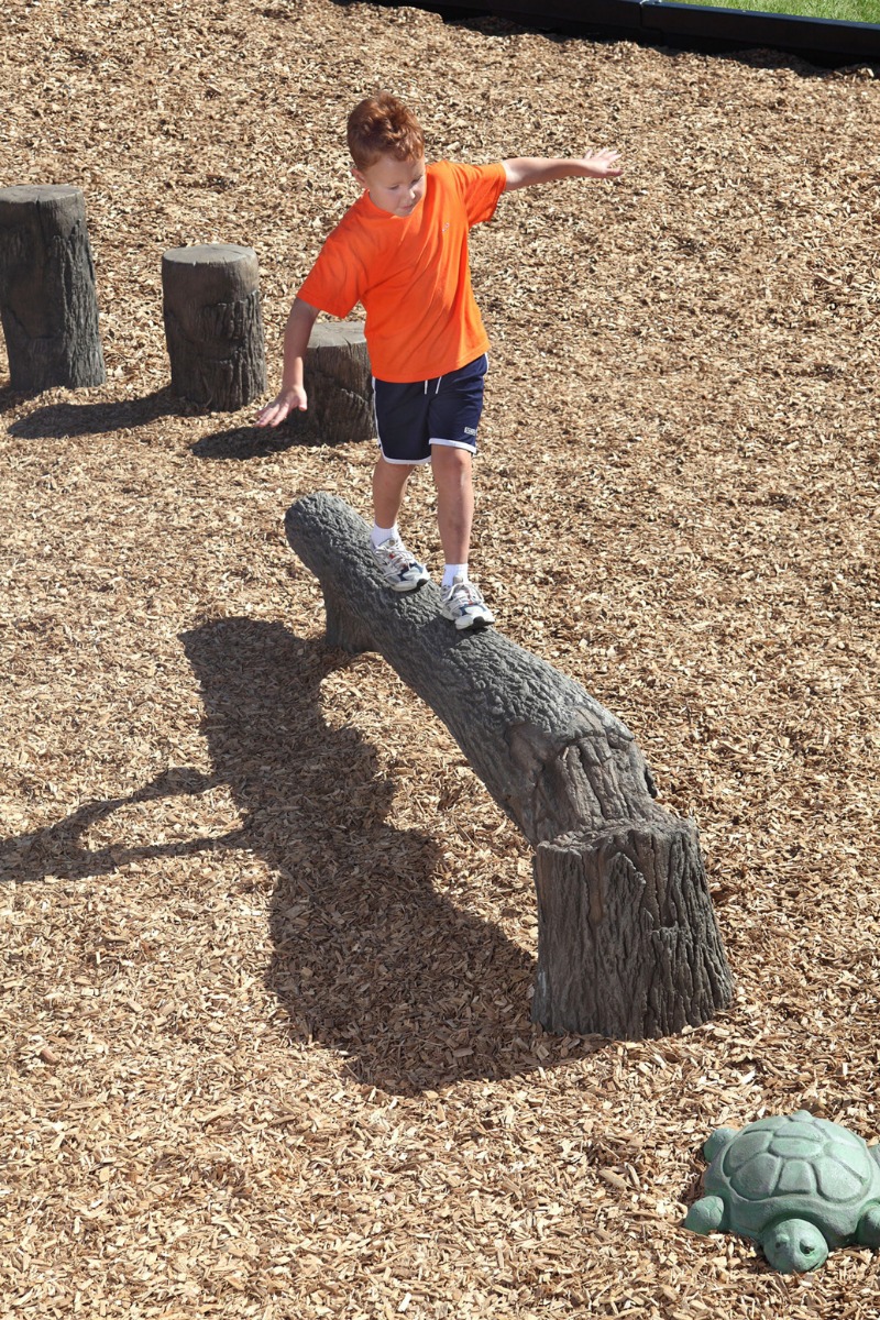 fallen tree balance beam | balance - natural