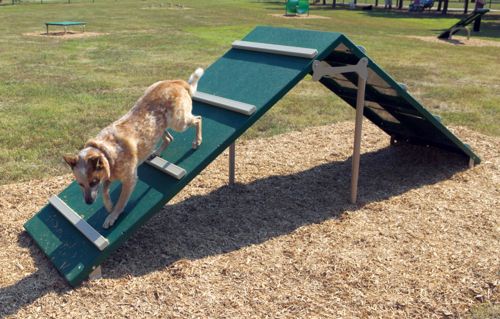 King of the Hill - Dog Park Equipment - All People Can Play