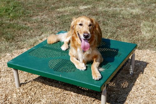 Paws Table | Dog Parks | All People Can Play