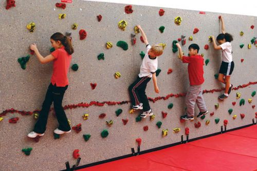 Standard Climbing Wall Panel