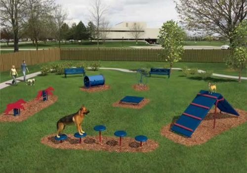 Bark Park Intermediate