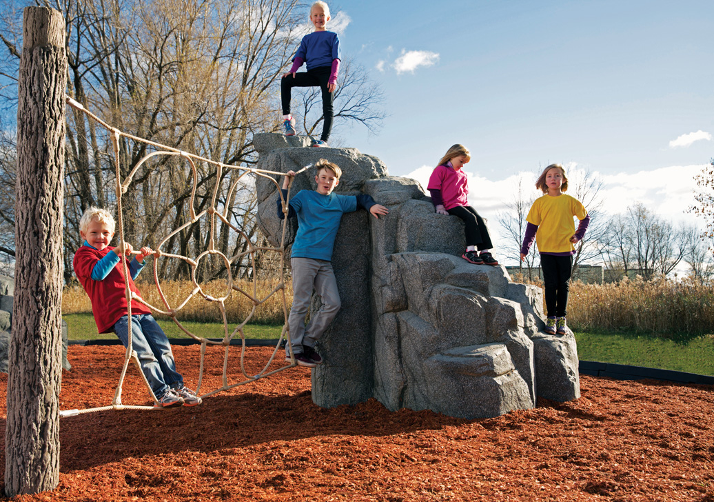 Spider Mountain - commercial play structure - natural